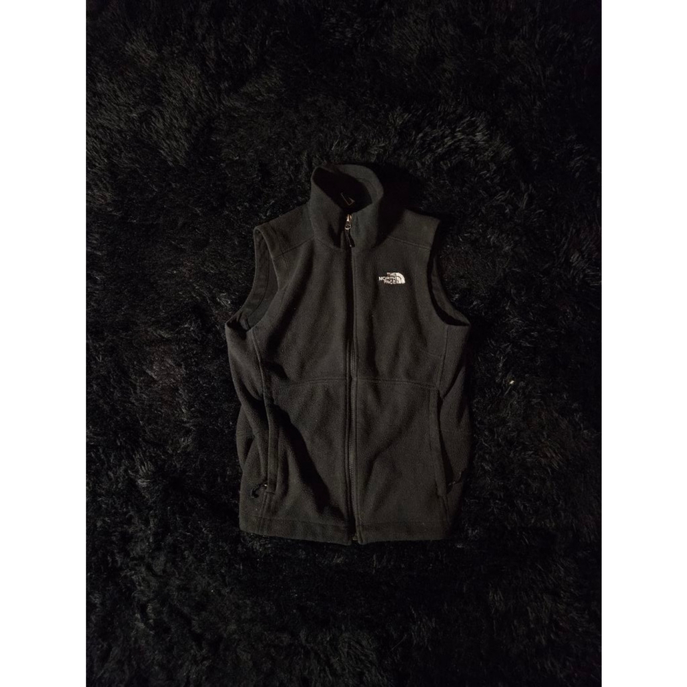 The north face vest